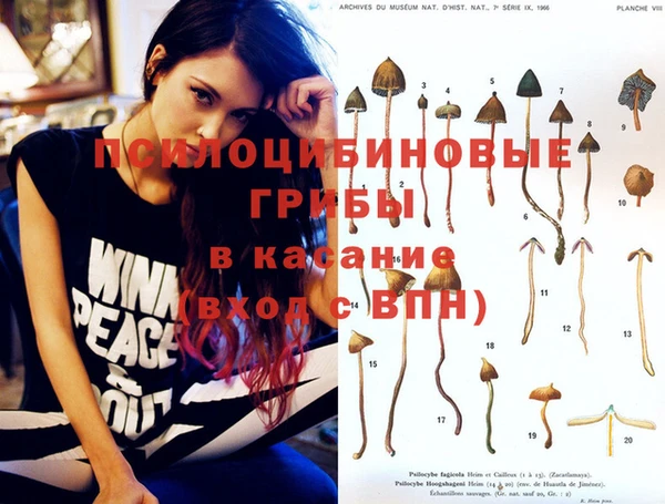 ГАЛЛЮЦИНОГЕННЫЕ ГРИБЫ Белоозёрский
